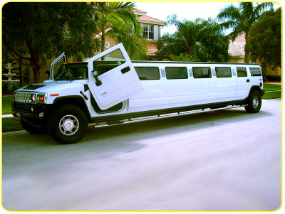 hmmer h2 limo